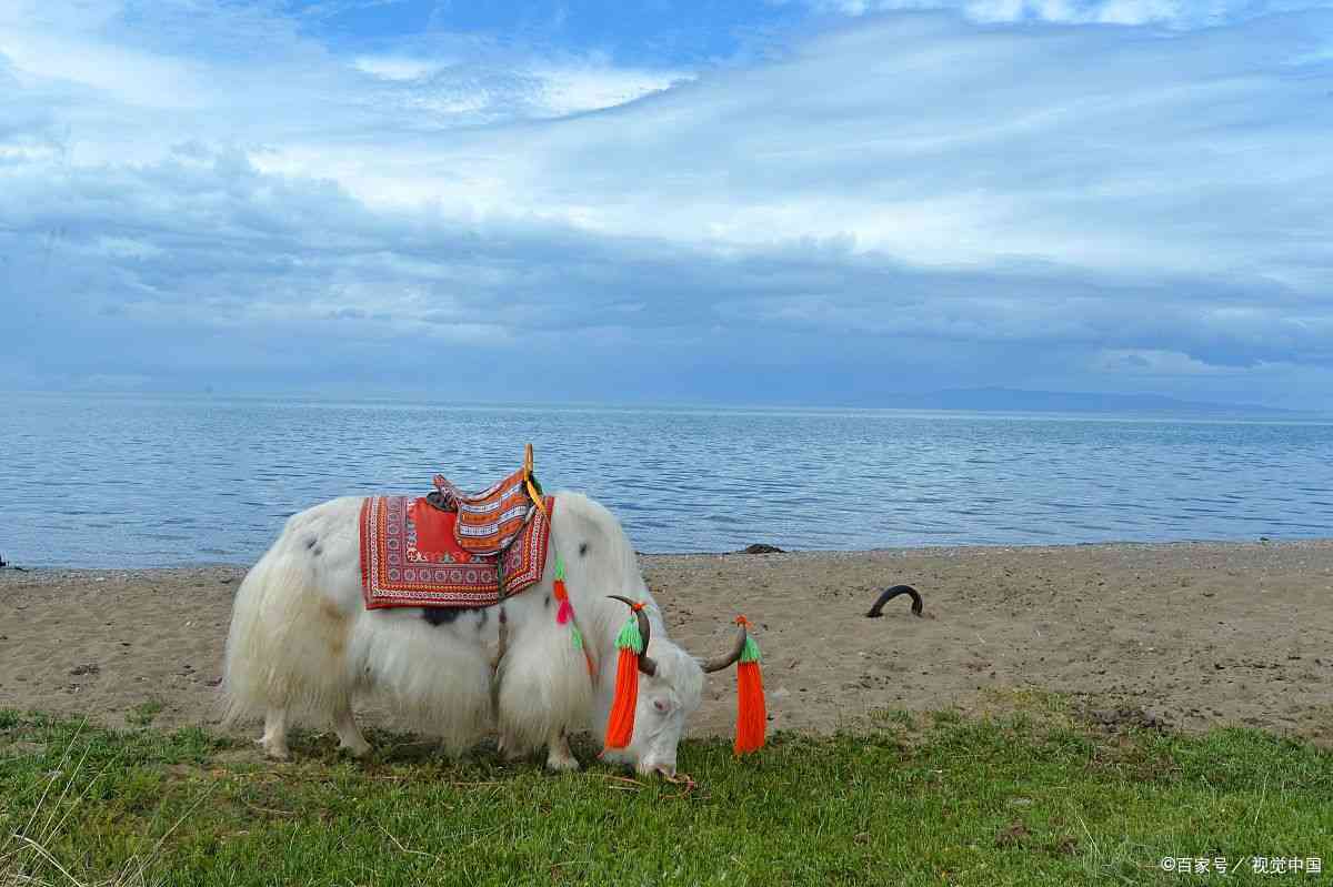 青海游玩自由行攻略