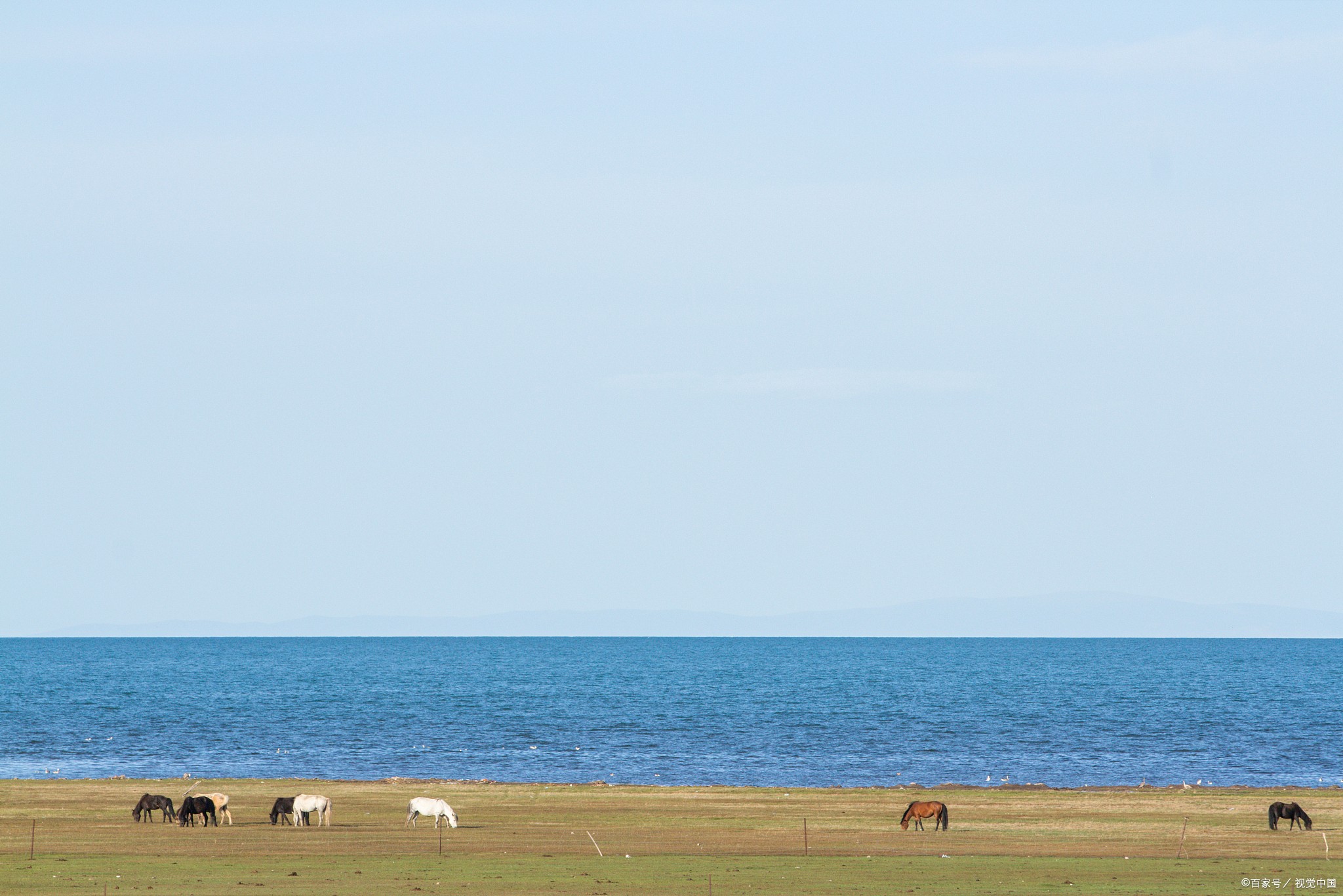 青海3日游自由行攻略